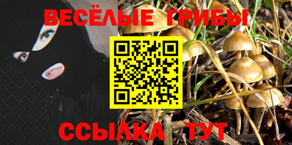 MDMA  Кокаин  Сальск  МЕФ кристаллы  ГАШИШ  Alpha-PVP СК   Вход с VPN  Меф  МАРИХУАНА 